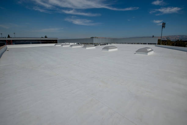 Best Roof Moss and Algae Removal  in San Bruno, CA