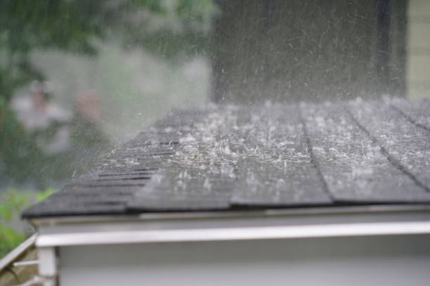 Best Metal Roofing Installation  in San Bruno, CA