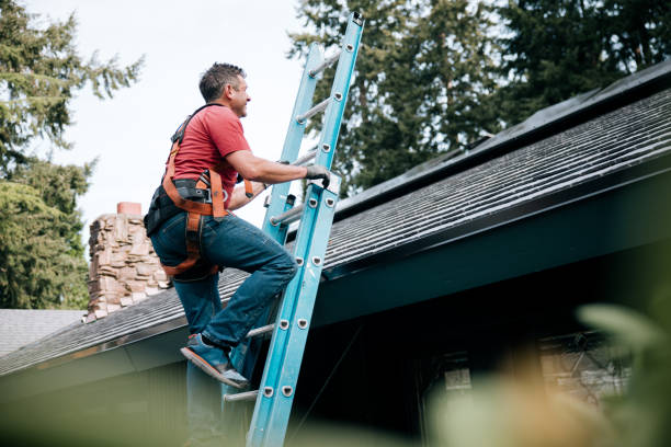 Best Roof Insulation Installation  in San Bruno, CA