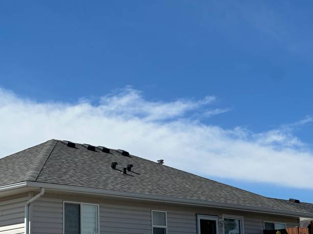 Best Solar Panel Roofing Installation  in San Bruno, CA